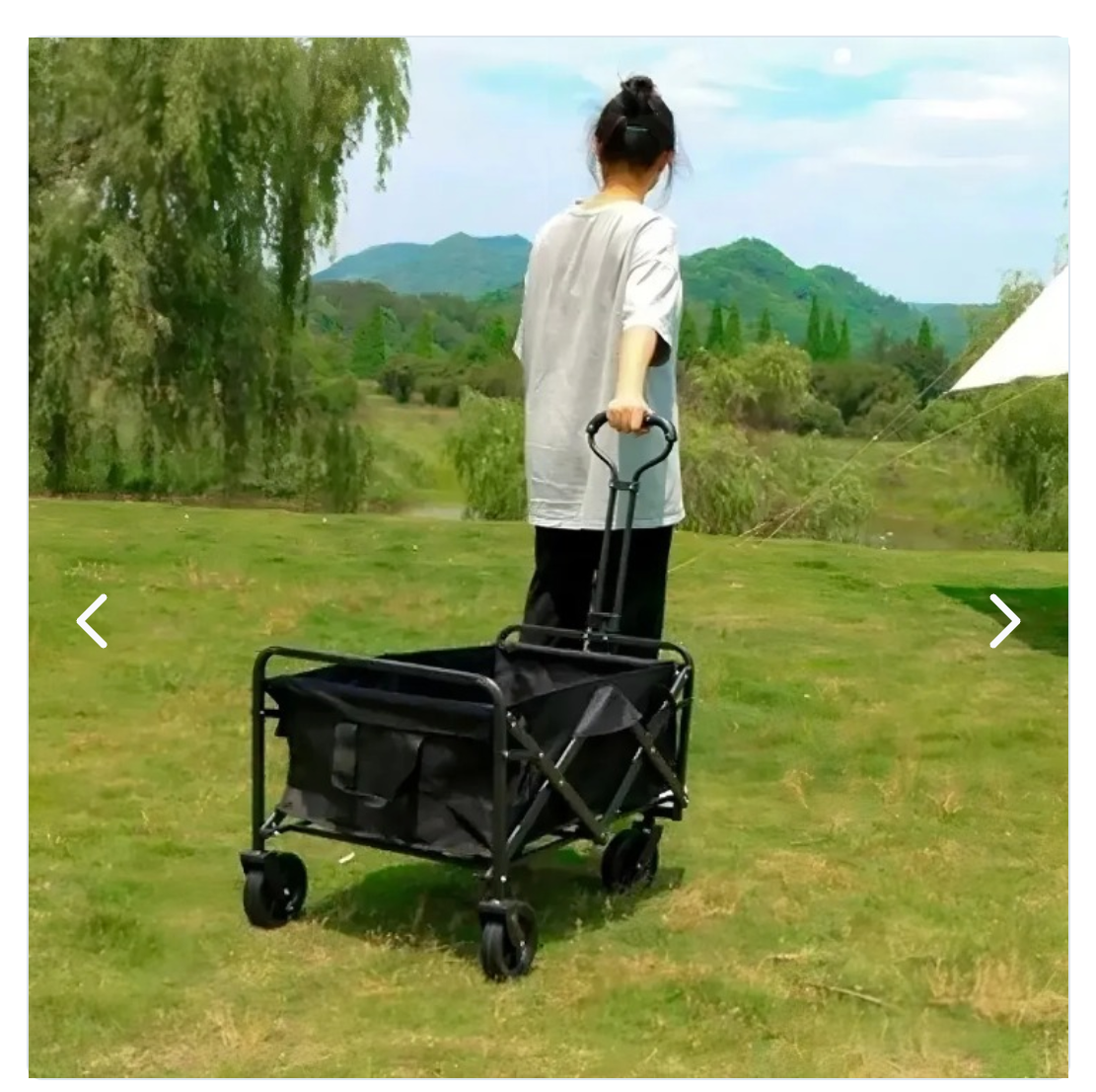 Carrito Para Compras Y Camping Plegable